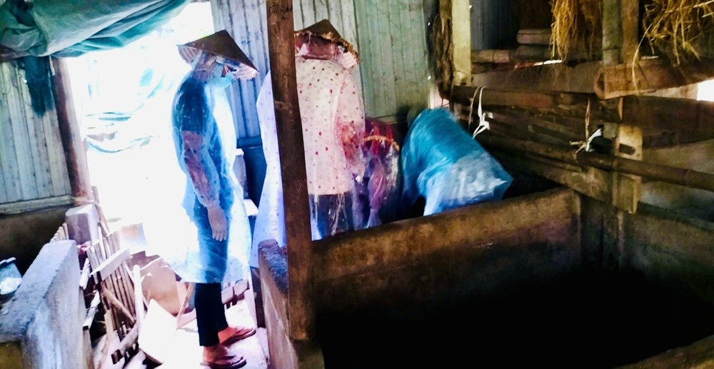 Disease control efforts are being aggressively implemented. 2025-07-10-04-22-292-1182-8039.jpg.jpg