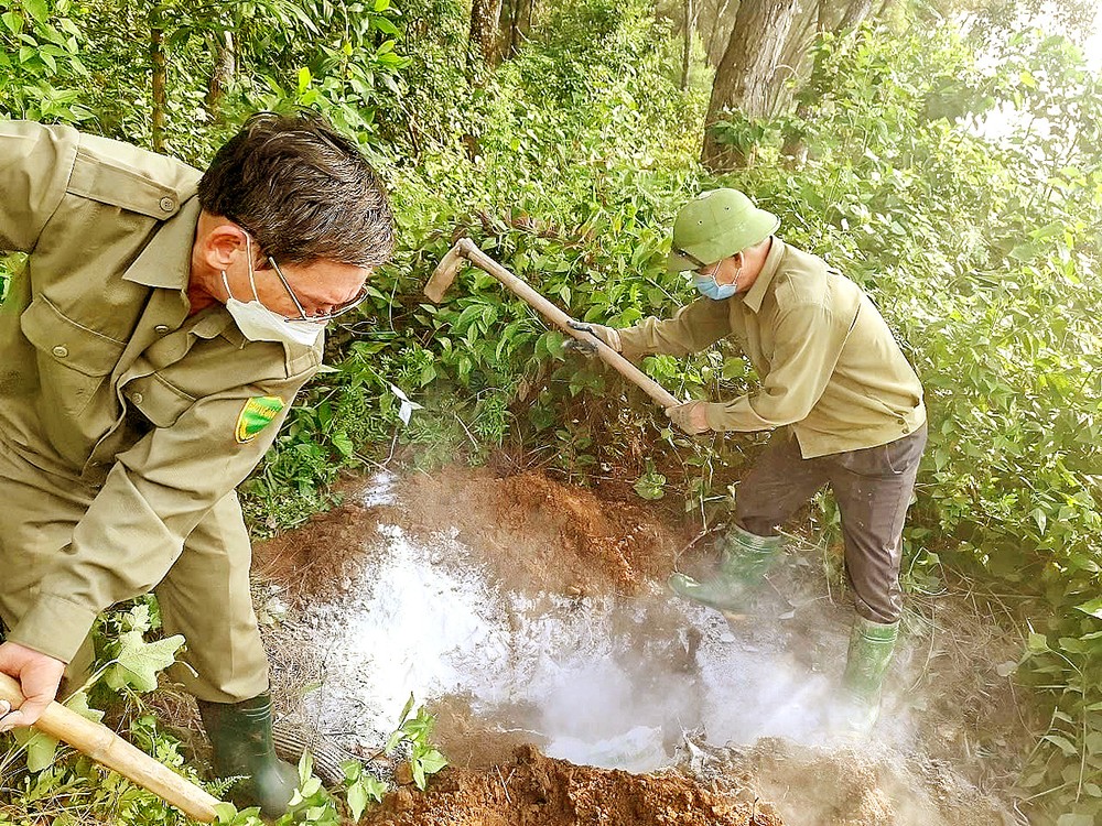 Residents in Tung Thien Commune (Hanoi) organize the collection and disposal of pig carcasses dumped in the environment. q1h-4089-9552.jpg.jpg