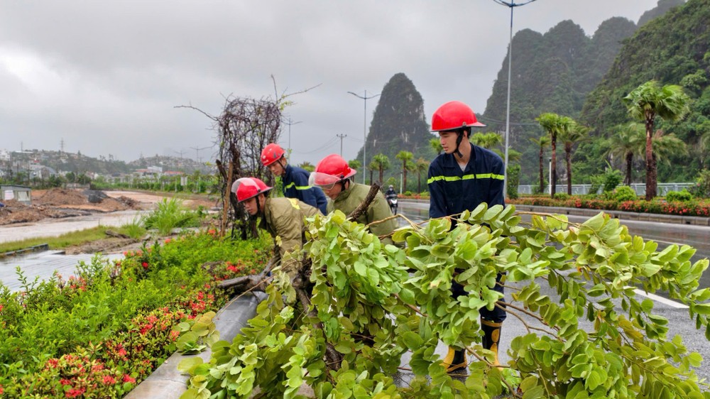 Task forces clear fallen and uprooted trees in Ha Long on the morning of July 22. 520557049-1206643338165456-4602289119216647007-n-2934-3848.jpg.jpg