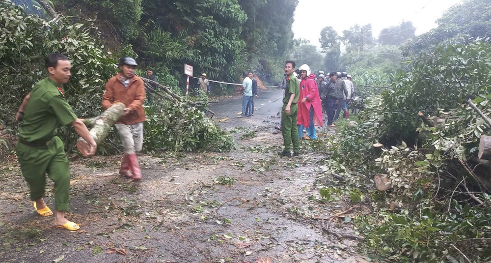 Authorities and local residents clear fallen trees blocking National Highway 27. img-4546-6184-312.jpeg.jpg