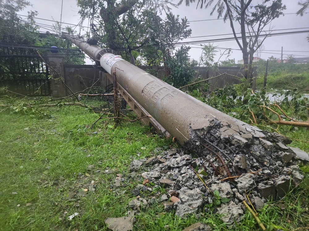 Hundreds of power poles are toppled in northern Quang Tri. 1000027667-8312-9201.jpg.jpg