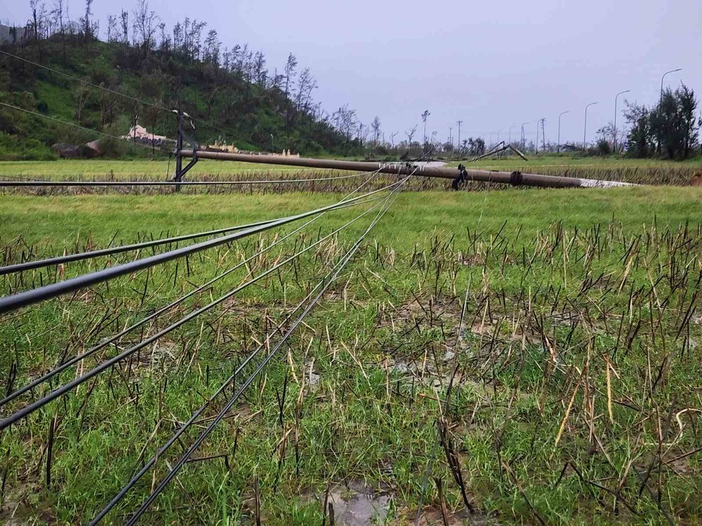 When the power poles fall, a tangle of wires comes down with them. anh-viber-2025-09-29-07-27-33-174-9407-1312.jpg.jpg