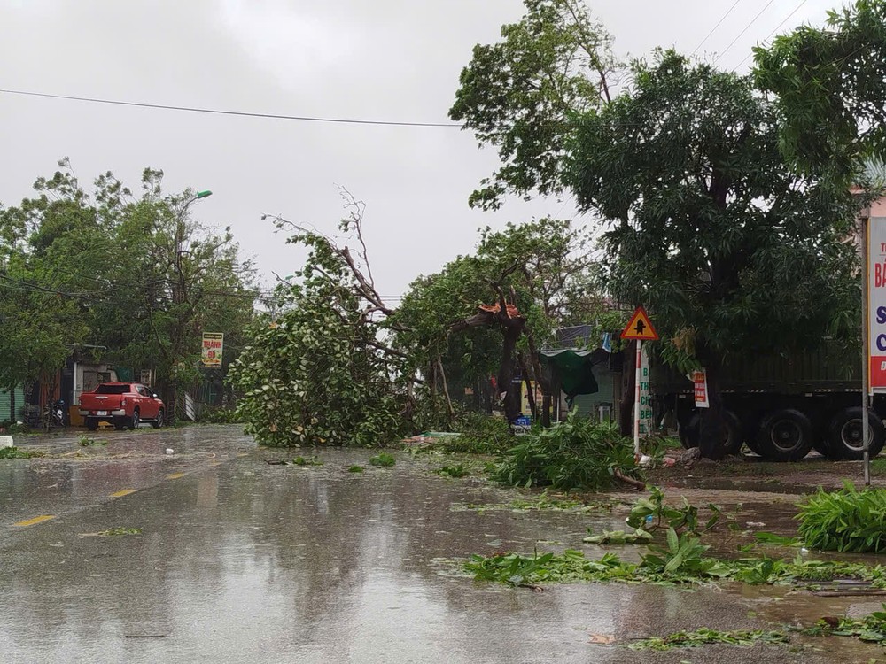Several trees are fallen due to storm Bualoi. z7060783508616-b4273e0d53ba6e36b7a6c7efeeff8cf2-3364-1410.jpg.jpg