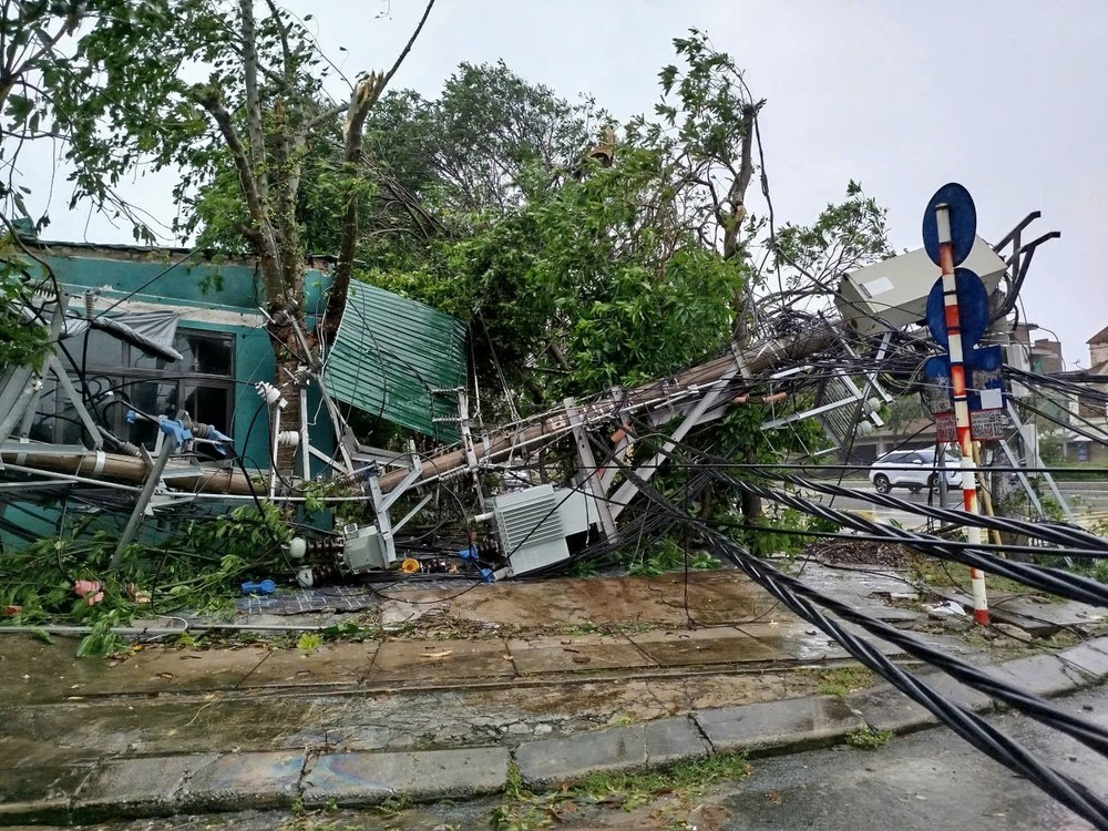 A power pole has fallen. z7060955794489-a31c3ee0913c01b6981f195727f9e9e2-3650-6604.jpg.jpg