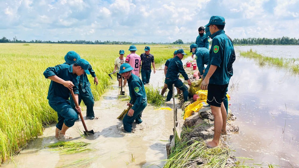 Nearly 50 officers and soldiers are mobilized to save 200 hectares of rice fields after an embankment breach in Hung Dien Commune. de-bao-3-1682-9721.jpg.jpg