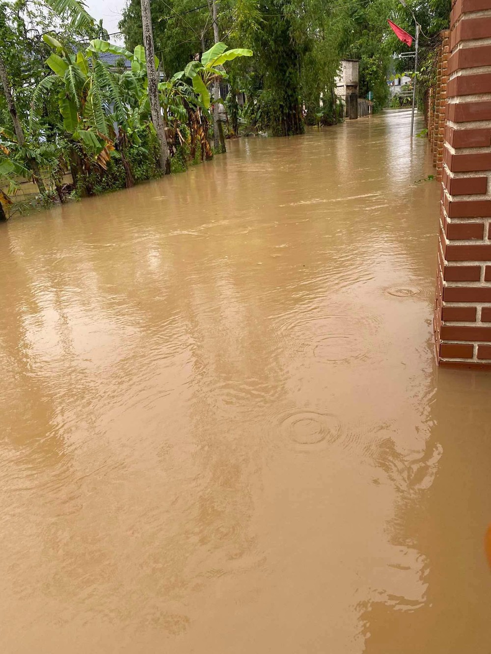 Floodwaters inundate Van Hoa Village in Tuyen Hoa Commune. 1000061819-6523-1025.jpg.jpg