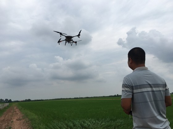 A farmer in Vinh Bao District of Hai Phong City is using a UAV to spray pesticaide on his rice field. (Photo: SGGP) A farmer in Vinh Bao District of Hai Phong City is using a UAV to spray pesticaide on his rice field. (Photo: SGGP)