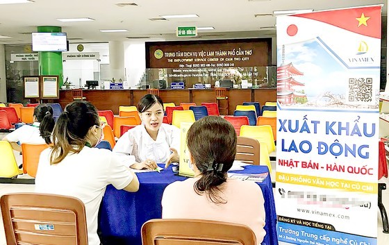 Consulting laborers wishing to work abroad at the Employment Service Center of Can Tho City Consulting laborers wishing to work abroad at the Employment Service Center of Can Tho City