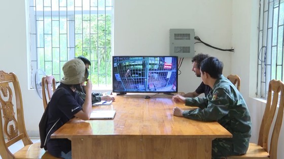 The tigers are closely monitored by specialists via cameras