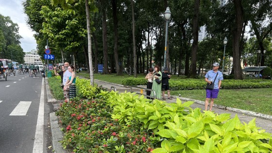 The green space along Le Duan Street in District 1 The green space along Le Duan Street in District 1