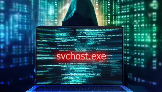 The virus can regenerate itself using the standard svchost.exe process in the system The virus can regenerate itself using the standard svchost.exe process in the system