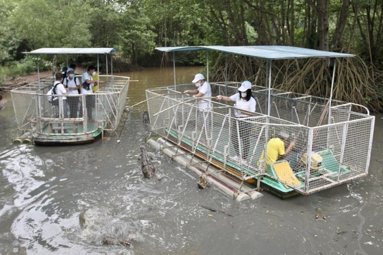 Tourists are fishing inside Vam Sat Tourist Area in Can Gio District Tourists are fishing inside Vam Sat Tourist Area in Can Gio District