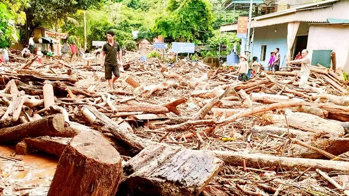 A landscape of mud, debris, and fallen trees can be spotted in upland communes in Nghe An Province following the historic floods 37.jpg