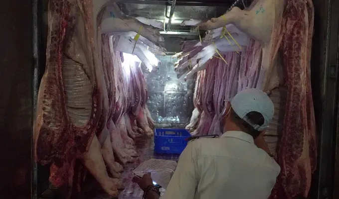 A veterinary official is inspecting pork before it enters Hoc Mon Wholesale Market (HCMC) (Photo: SGGP) 07b.jpg