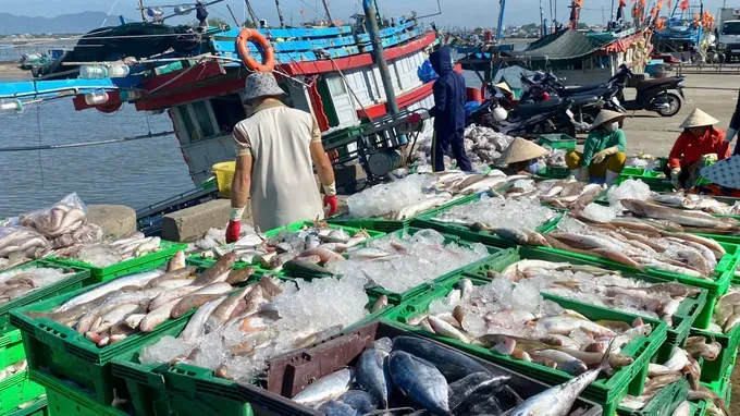 A diverse catch of seafood is displayed after the first fishing expedition of the year 28.jpg