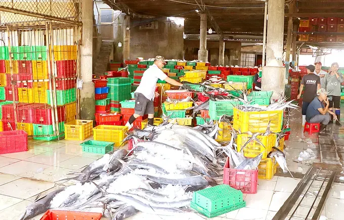 Bringing the catch to Incomap Port, Vung Tau Ward, HCMC 37b.jpg