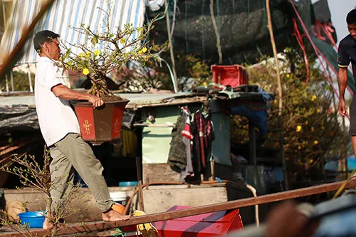 Chợ hoa xuân trên bến dưới thuyền… ảnh 3