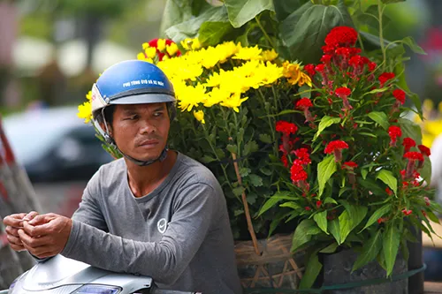 Chiều 29 Tết, người dân TP Hồ Chí Minh đổ xô đi mua hoa ảnh 6 Chiều 29 Tết, người dân TP Hồ Chí Minh đổ xô đi mua hoa ảnh 6