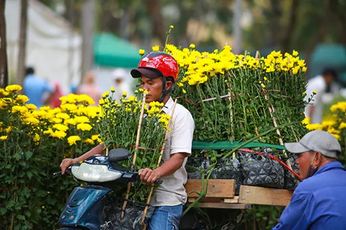 Chiều 29 Tết, người dân TP Hồ Chí Minh đổ xô đi mua hoa ảnh 5 Chiều 29 Tết, người dân TP Hồ Chí Minh đổ xô đi mua hoa ảnh 5