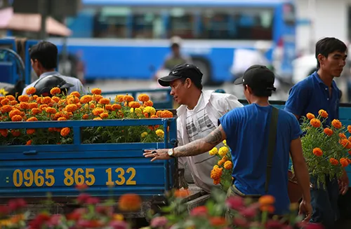 Chiều 29 Tết, người dân TP Hồ Chí Minh đổ xô đi mua hoa ảnh 4 Chiều 29 Tết, người dân TP Hồ Chí Minh đổ xô đi mua hoa ảnh 4