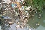 Economic Development Coupled With Environmental Protection ảnh 1 Economic Development Coupled With Environmental Protection ảnh 1