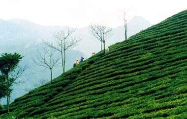 "Tình ca Tây Bắc" ắp đầy kỷ niệm
