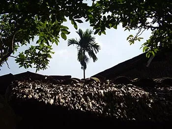 Mái tranh nghèo Mái tranh nghèo