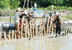 TPHCM: Đắp bờ bao rạch cầu Cả Bốn đối phó triều cường