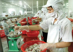 Gần 2 năm gia nhập WTO - Việt Nam được những gì? ảnh 2 Gần 2 năm gia nhập WTO - Việt Nam được những gì? ảnh 2
