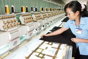 Gần 2 năm gia nhập WTO - Việt Nam được những gì?