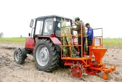 Miền Trung: Đìu hiu vùng mía