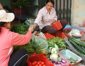 Thật, giả rau an toàn sau lũ ảnh 3 Thật, giả rau an toàn sau lũ ảnh 3