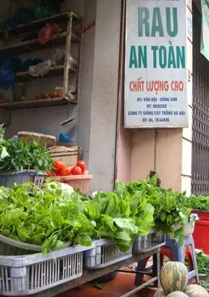 Thật, giả rau an toàn sau lũ ảnh 2 Thật, giả rau an toàn sau lũ ảnh 2