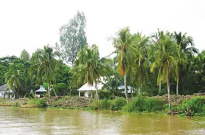 Hàng trăm hộ dân huyện Cờ Đỏ, Cần Thơ 33 năm không có điện
