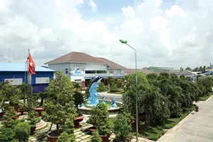 Công ty cổ phần thủy sản Hùng Vương xây dựng thương hiệu bằng chữ tâm ảnh 2 Công ty cổ phần thủy sản Hùng Vương xây dựng thương hiệu bằng chữ tâm ảnh 2