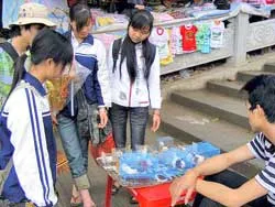 Chuột Hamster đã “chạy” tới Chùa Hương