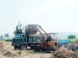 Quảng Ngãi: Lần đầu tiên chế tạo thành công máy bốc mía
