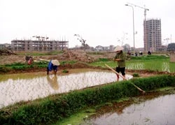 Bài 1: Đồng ruộng thành khu công nghiệp
