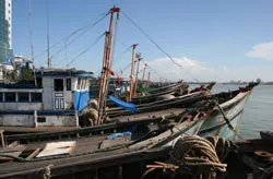 Nước mắt ngư phủ