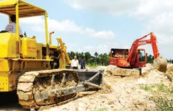 Tiếp tục chuyển dịch cơ cấu kinh tế nông nghiệp theo hướng hình thành nền nông nghiệp đô thị năng suất cao (*) ảnh 2 Tiếp tục chuyển dịch cơ cấu kinh tế nông nghiệp theo hướng hình thành nền nông nghiệp đô thị năng suất cao (*) ảnh 2