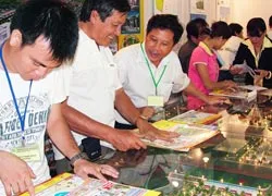 Căn hộ nhỏ chờ giải pháp lớn