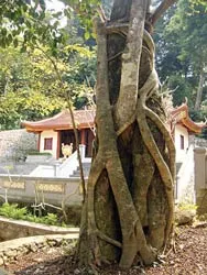 Hang đá thiêng trên đường Quyết Thắng