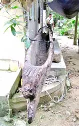 Thuyền độc mộc cổ trên sông Hương: Có niên đại hàng ngàn năm