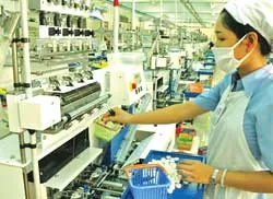 Hỗ trợ doanh nghiệp xây dựng thương hiệu Việt hợp chuẩn quốc tế ảnh 2 Hỗ trợ doanh nghiệp xây dựng thương hiệu Việt hợp chuẩn quốc tế ảnh 2