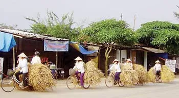 Chợ… rơm!