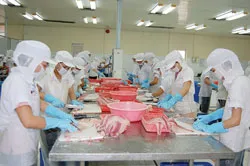 Đẩy mạnh xuất khẩu thủy sản Việt Nam
