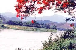 Trở lại Sài Gòn