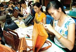 Làng cá sấu Sài Gòn nâng chất lượng cá sấu xuất khẩu