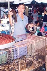 Tan tác “đặc sản” đồng bằng