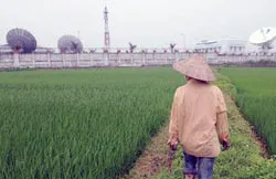Nông nghiệp thế giới - Thách thức và cơ hội